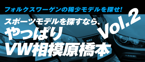 �t�H���N�X���[�Q���̊󏭃��f����T��Vol.2