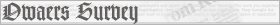 owners_survey�@�I�[�i�[�Y�T�[�x�C
